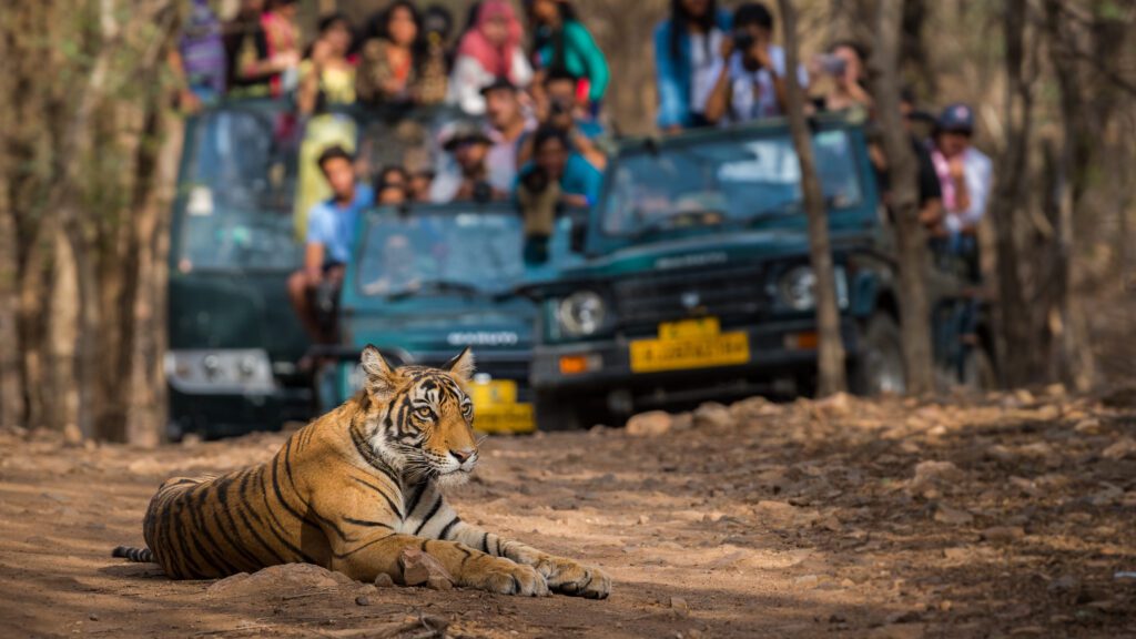 Národní park Ranthambore láká na bengálské tigry